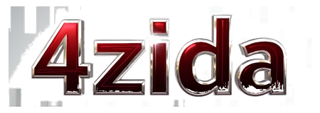 4zida logo